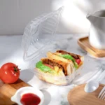 CLEAR HINGED CONTAINER